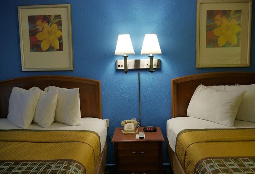 호스텔 Morning Star Inn