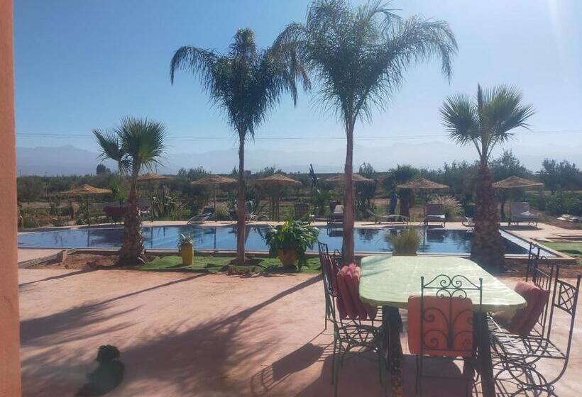 تختخواب و صبحانه Chez Jm Saida