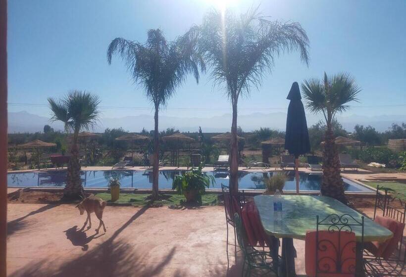 تختخواب و صبحانه Chez Jm Saida