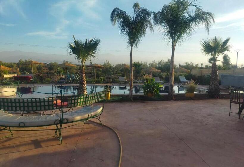 تختخواب و صبحانه Chez Jm Saida