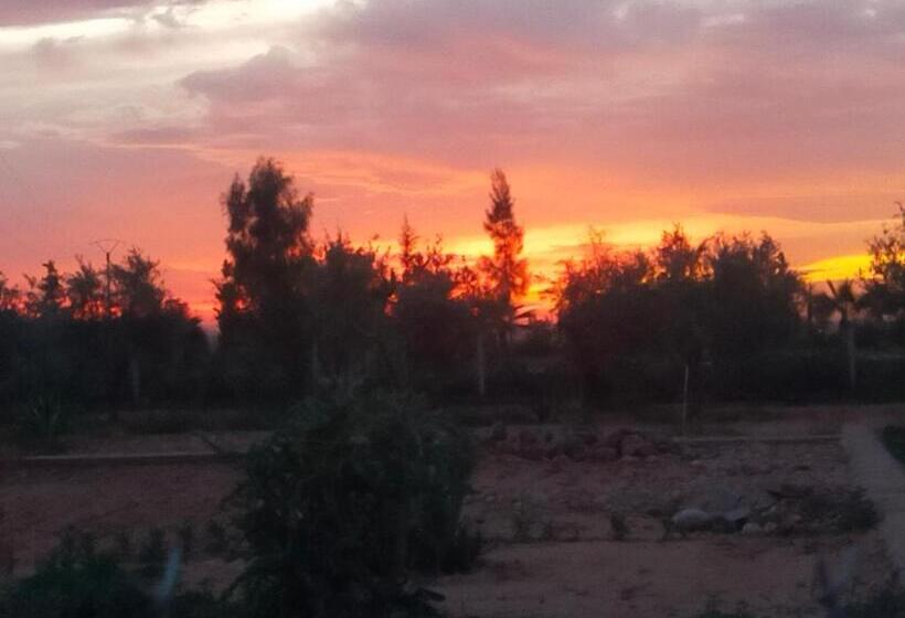 تختخواب و صبحانه Chez Jm Saida