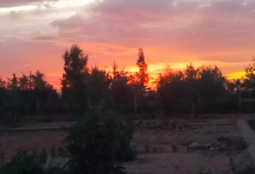 تختخواب و صبحانه Chez Jm Saida