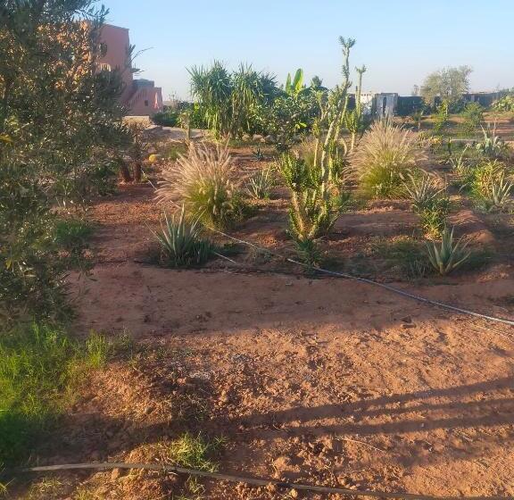 تختخواب و صبحانه Chez Jm Saida