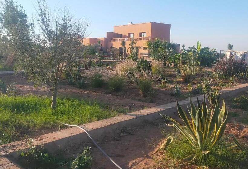 تختخواب و صبحانه Chez Jm Saida