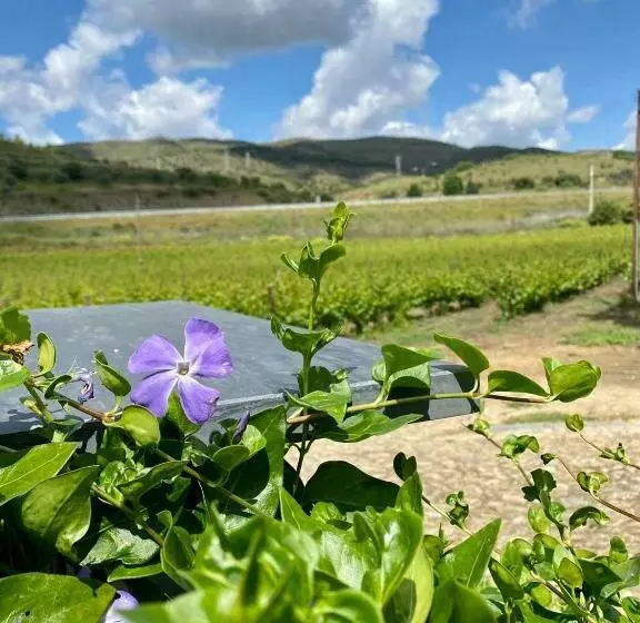 ホテル Quinta Do Chao D Ordem