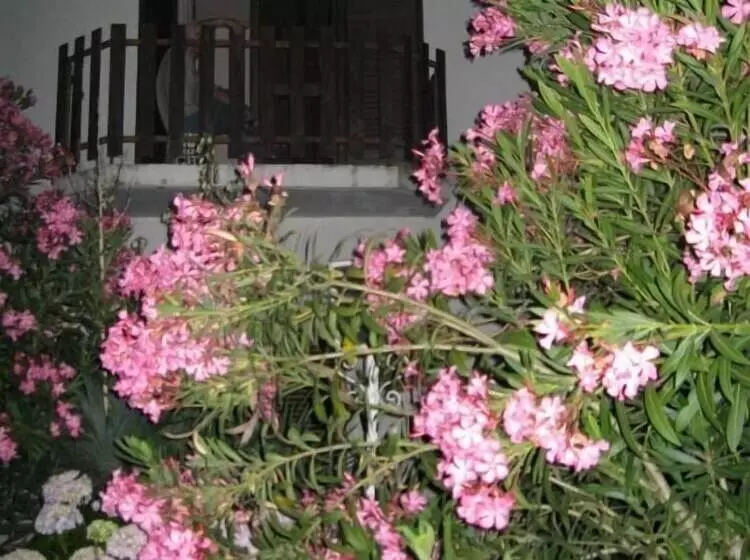 Majatalo Casa Morgado