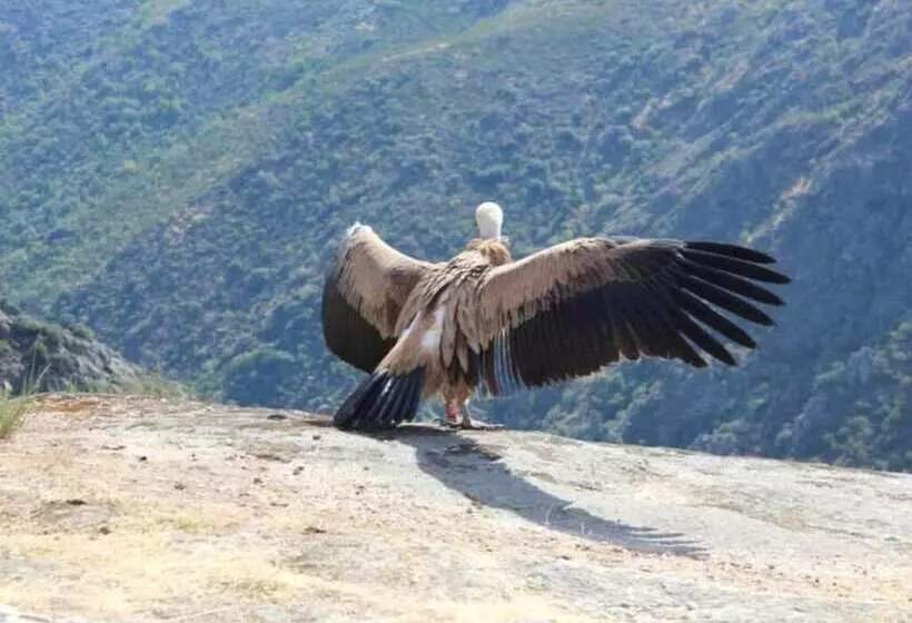 Majatalo Casa Morgado