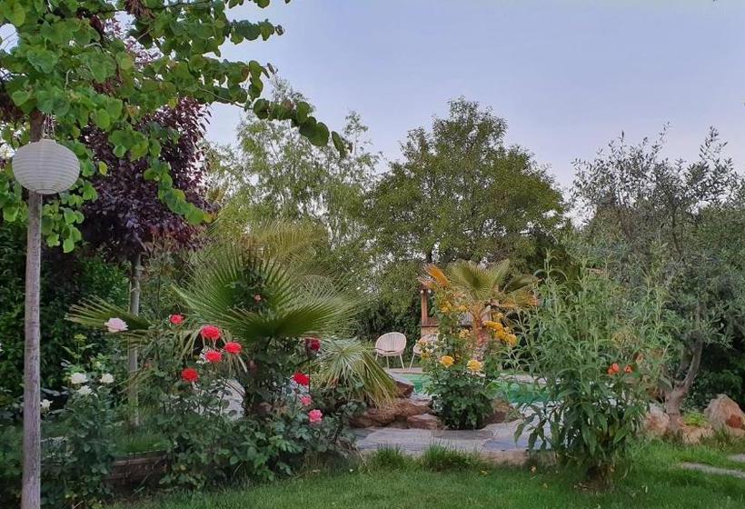 Пансион La Placeta Guesthouse