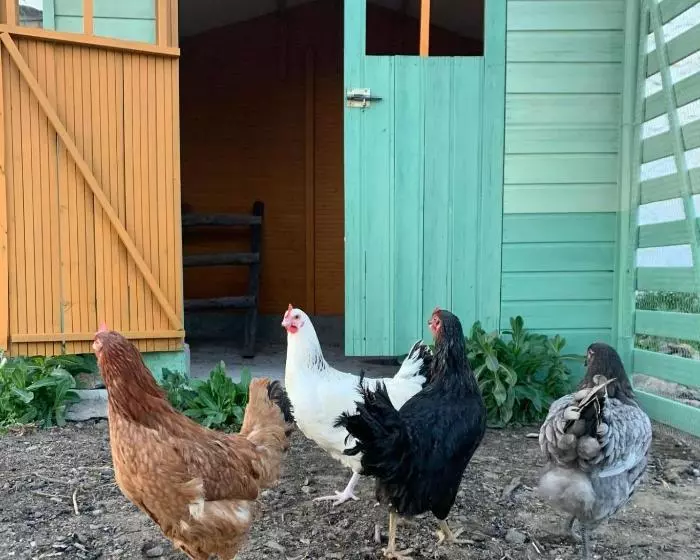 Majatalo La Placeta Guesthouse