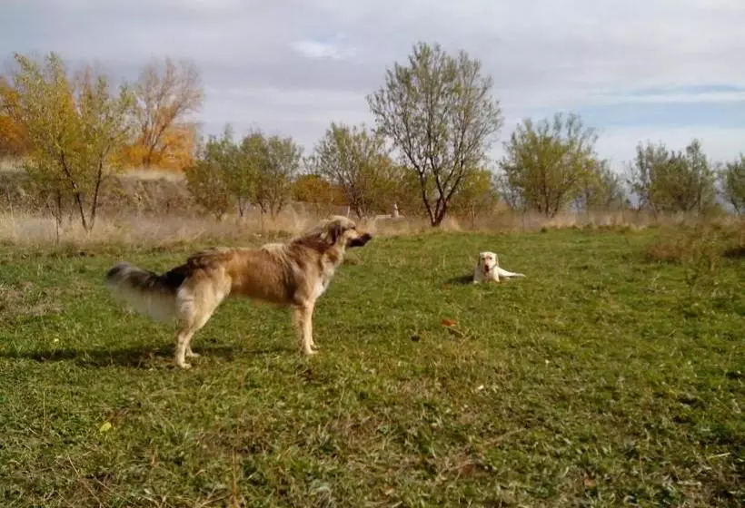Majatalo La Placeta Guesthouse