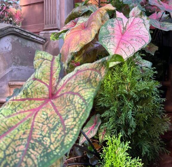 膳宿费 Soul Food Mont Morris