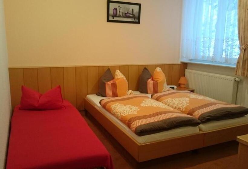 Pension Und Berggasthaus Kapellenstein