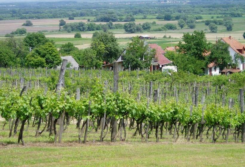 Szent Orbán Panzió Kutyabarát Apartmanok