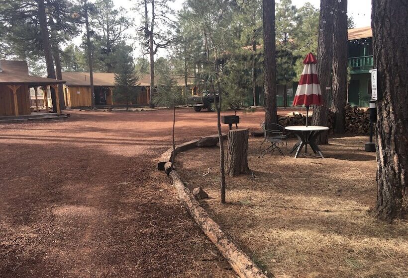 הוסטל Timberlodge Inn