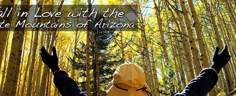 הוסטל Timberlodge Inn