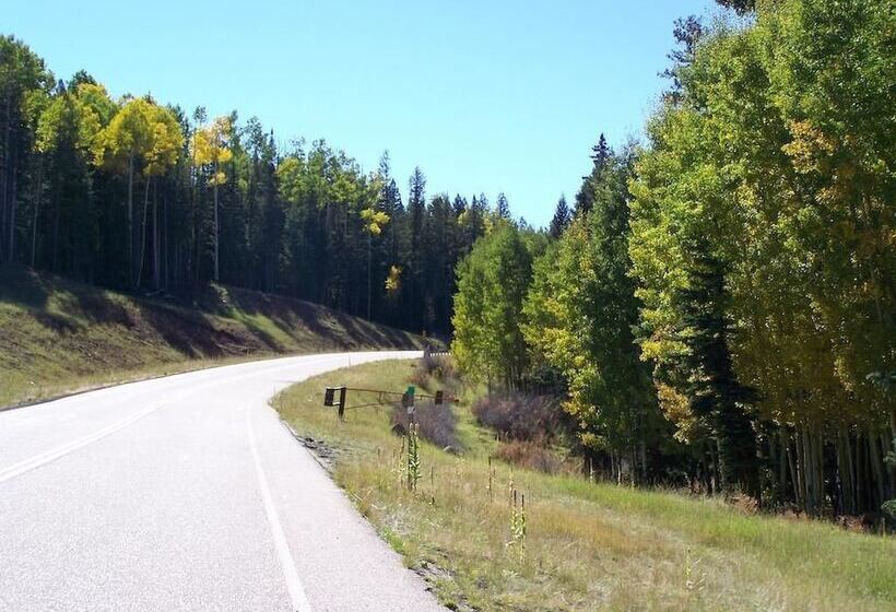 הוסטל Timberlodge Inn