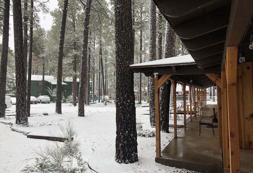 הוסטל Timberlodge Inn