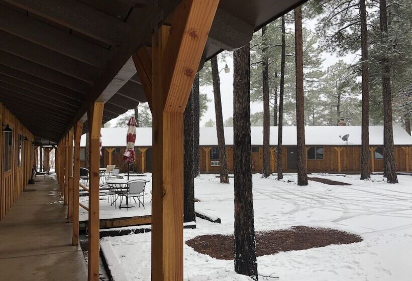 הוסטל Timberlodge Inn