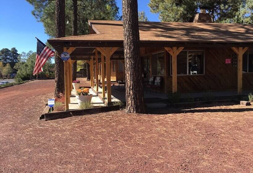 הוסטל Timberlodge Inn