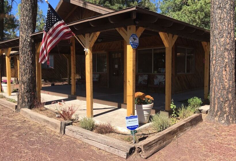 הוסטל Timberlodge Inn