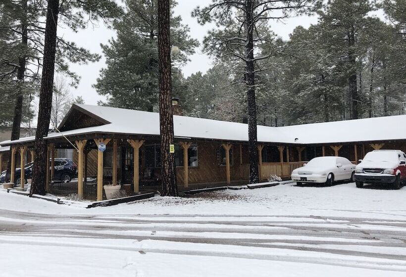 הוסטל Timberlodge Inn