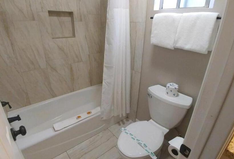 הוסטל Timberlodge Inn