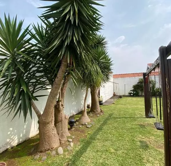 Apartamentos São João