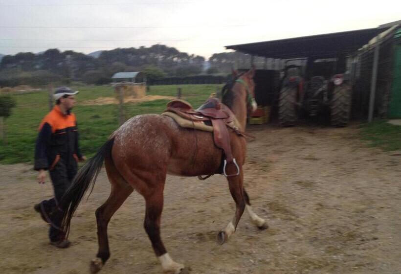 فندق Agriturismo Cannavota