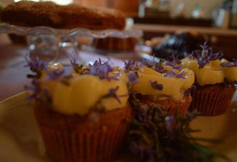 ホテル Agriturismo Il Caggio