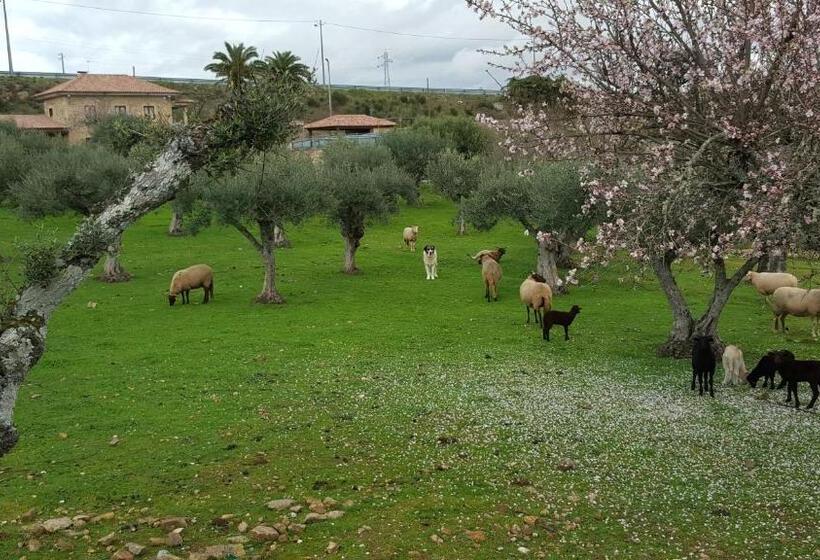 هتل Quinta Das Pias Holiday Farm