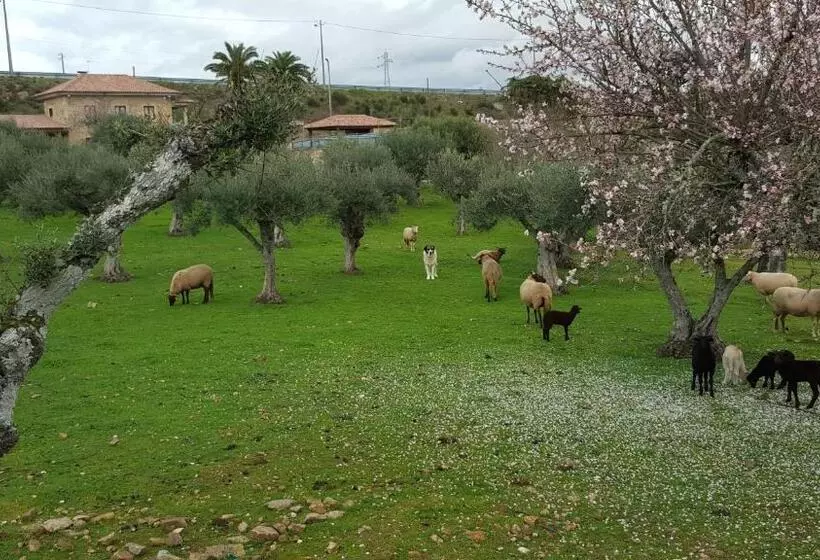 Hotelli Quinta Das Pias   Holiday Farm