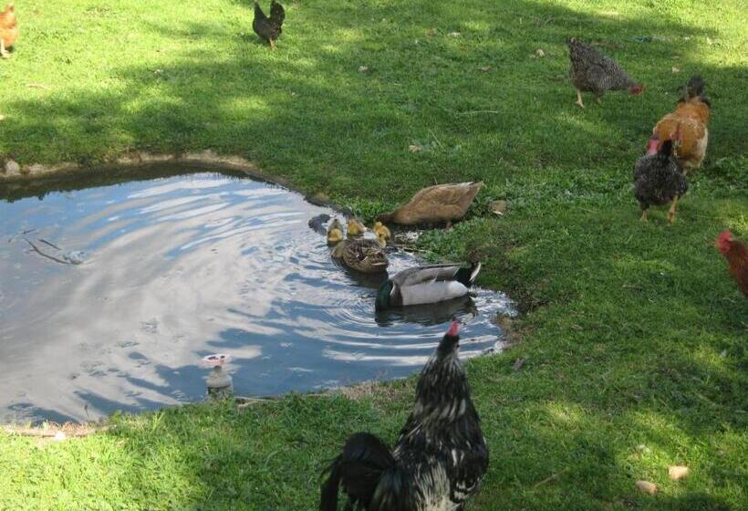 هتل Quinta Das Pias Holiday Farm