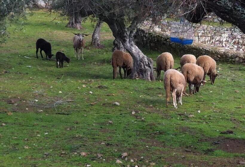 هتل Quinta Das Pias Holiday Farm