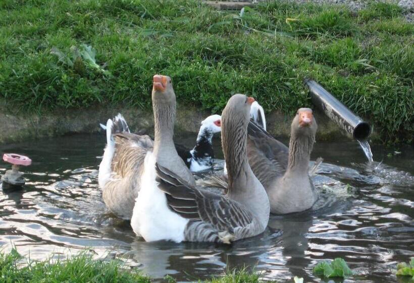 هتل Quinta Das Pias Holiday Farm