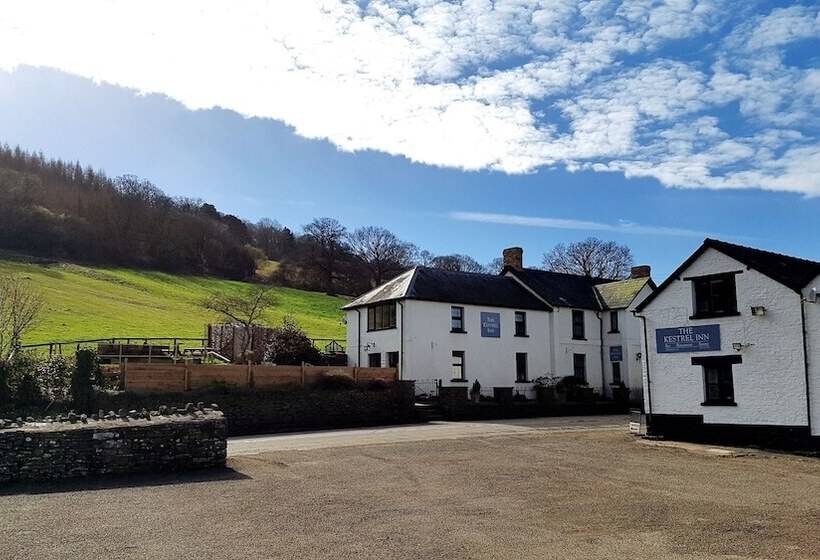 酒店 The Kestrel B&b