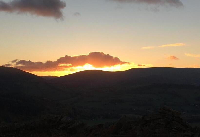 酒店 The Kestrel B&b