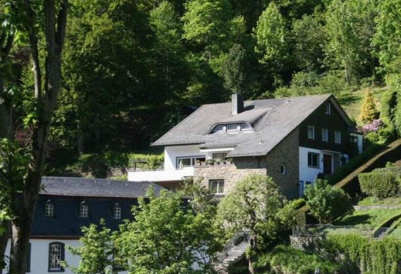 ペンション Eleganza Monschau