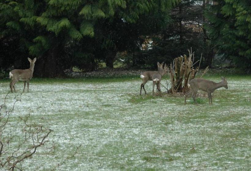 پانسیون Gästehaus Mea Vota