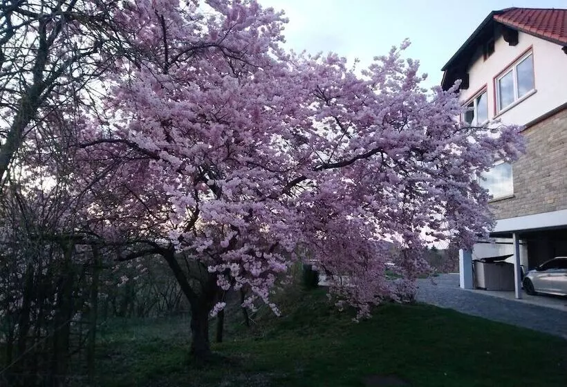 Majatalo Kirschberghof Gästehaus Und Weinverkauf
