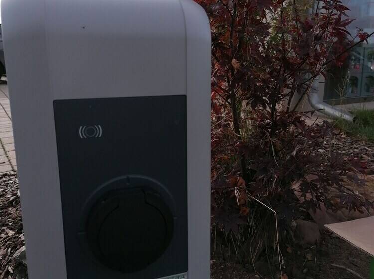 بنسيون Kirschberghof Gästehaus Und Weinverkauf