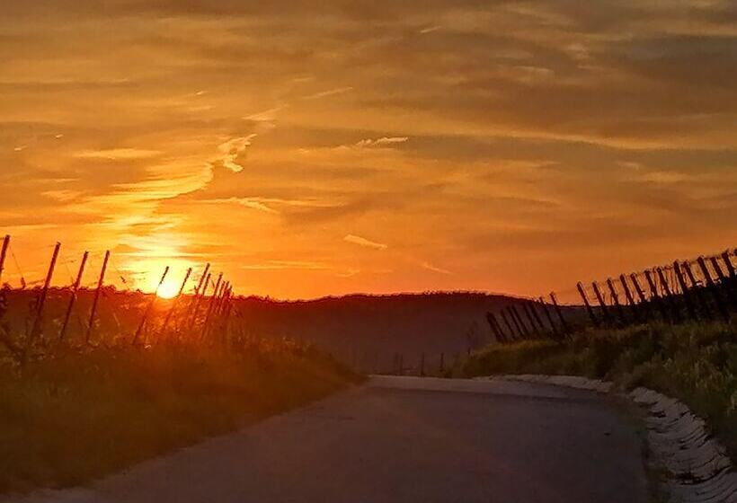 بنسيون Kirschberghof Gästehaus Und Weinverkauf
