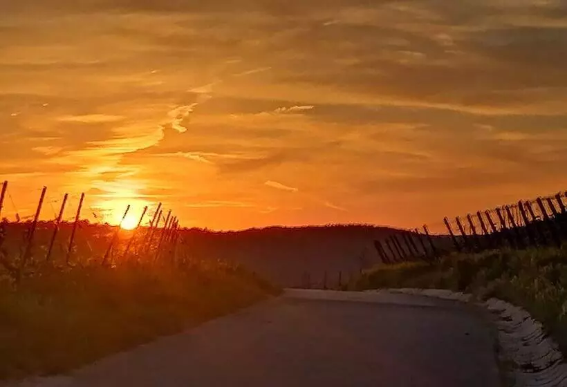 Majatalo Kirschberghof Gästehaus Und Weinverkauf