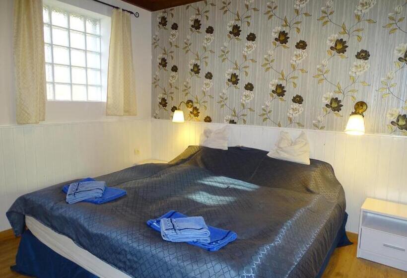 Pensionat Tavi Vendégház