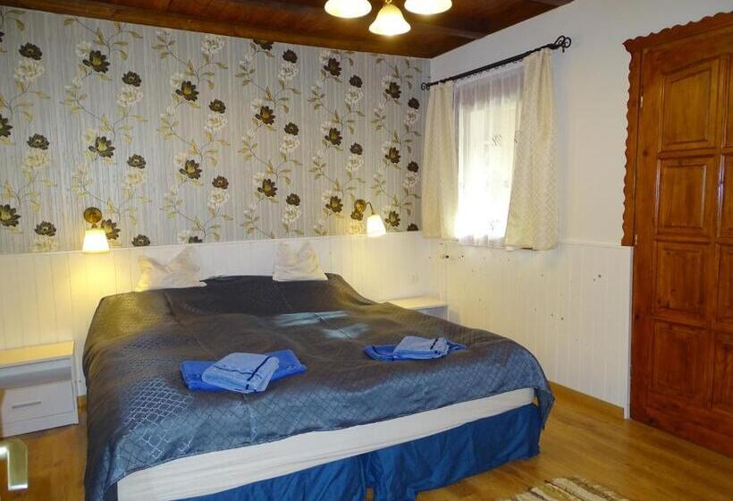 Pensionat Tavi Vendégház