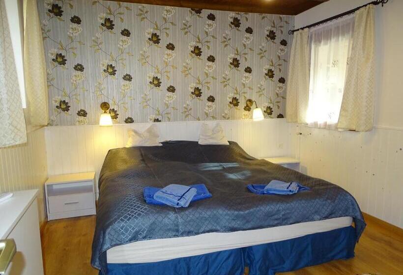 Pensionat Tavi Vendégház