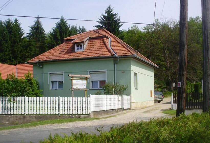 Pensionat Tavi Vendégház
