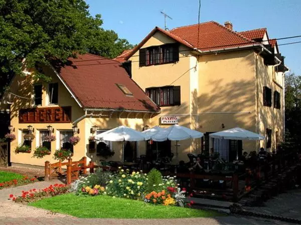 Platán Panzió