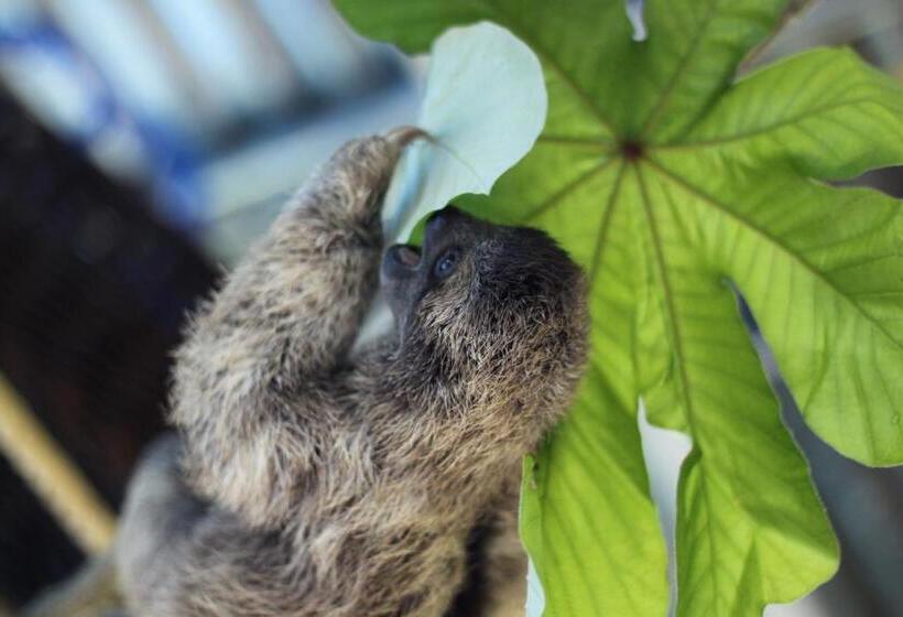 فندق صغير Blue Banyan Inn