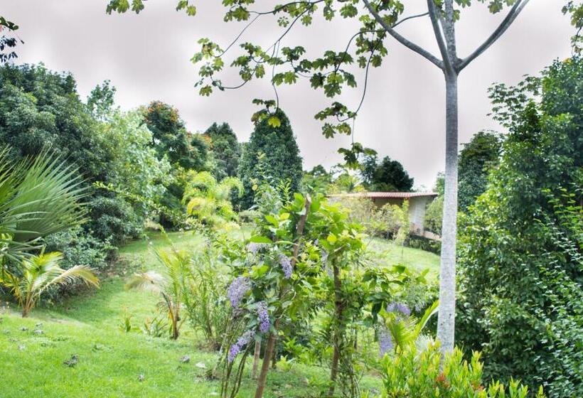 فندق صغير Blue Banyan Inn