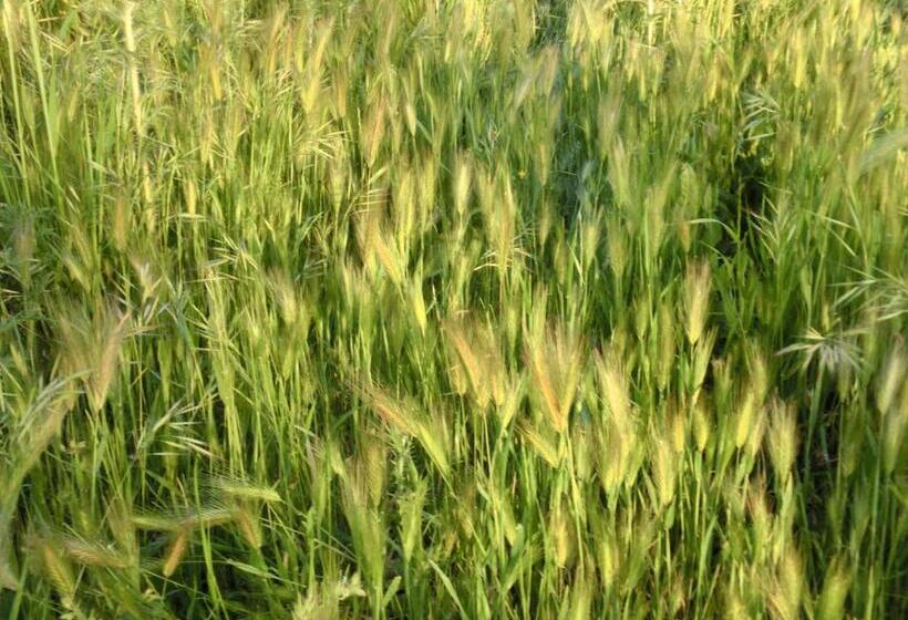 בית מלון כפרי Agriturismo Cuca